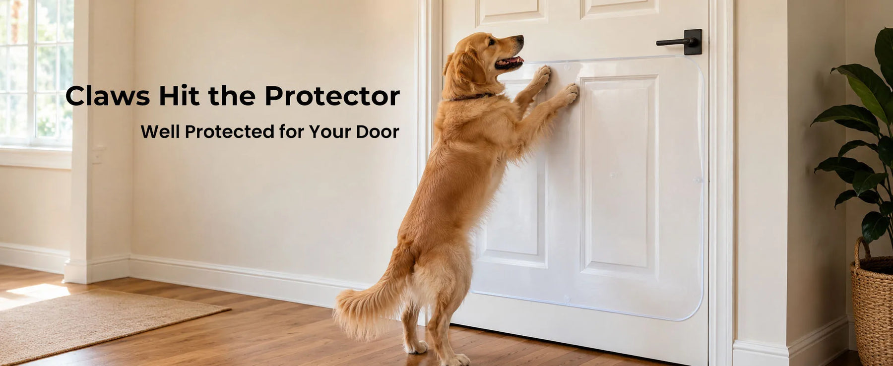 Door Protector from Dog Scratching