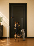Dog and cat looking at a black door with a pet door. ##16 x 30"##1-Pack
