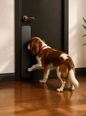 Dog standing on a wooden floor in front of a closed door with a pet door. ##4 x 30"##1-Pack