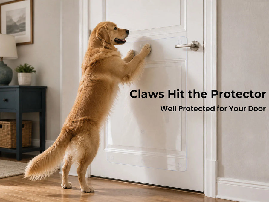Door Protector from Dog Scratching